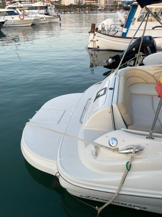 Sea Ray Sundeck 240 usado à venda