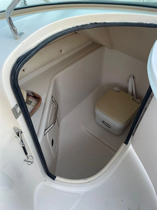 Sea Ray Sundeck 240 usado à venda