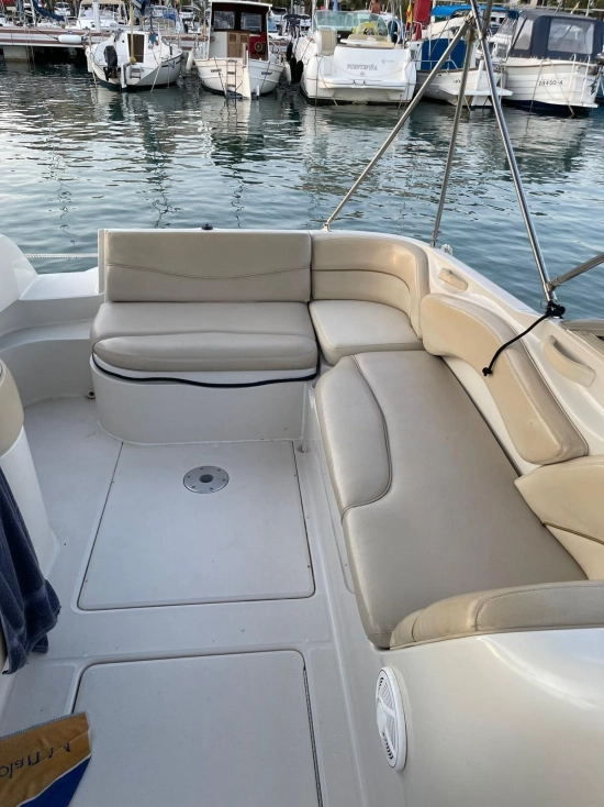 Sea Ray Sundeck 240 usado à venda