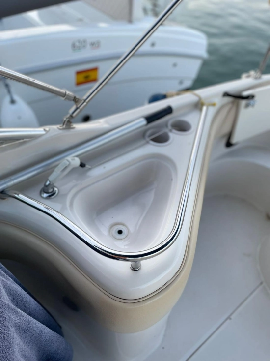 Sea Ray Sundeck 240 usado à venda
