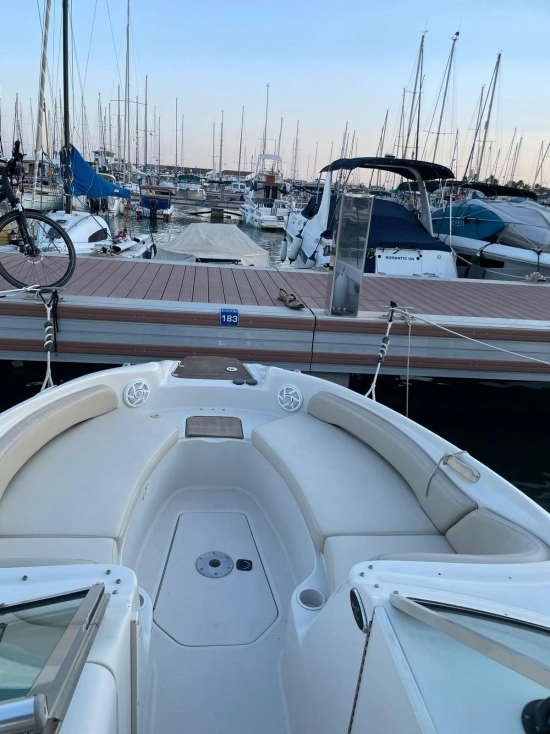 Sea Ray Sundeck 240 usado à venda