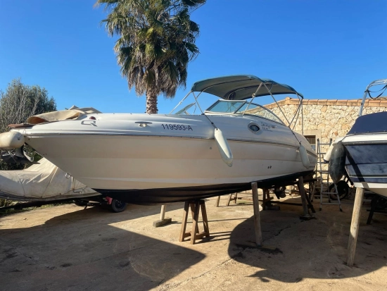 Sea Ray Sundeck 240 usado à venda