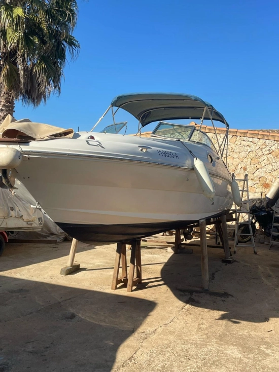 Sea Ray Sundeck 240 usado à venda
