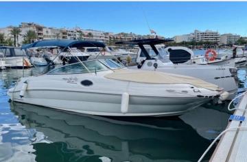 Sea Ray Sundeck 240 usata in vendita