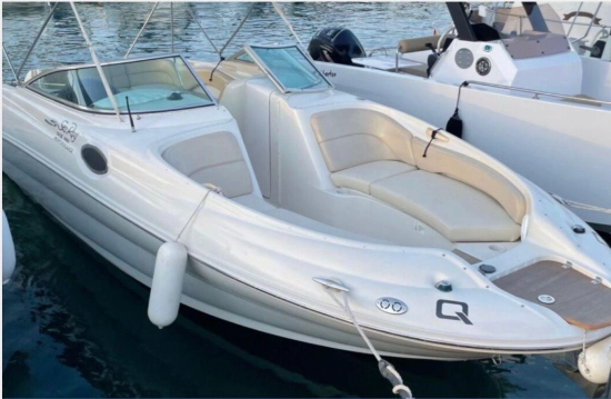 Sea Ray Sundeck 240 usado à venda