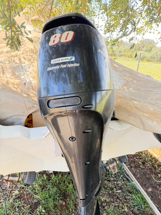 Twister Boats HSF 580 usado à venda