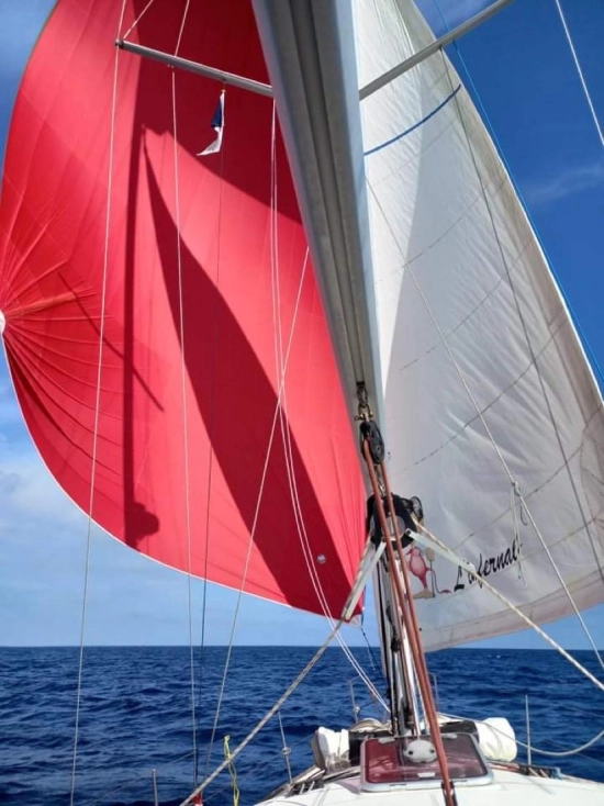Jeanneau Sun Odyssey 42 Ds usata in vendita
