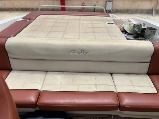 Sea Ray 240 Sse usata in vendita