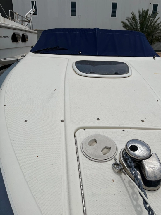 Sea Ray 240 Sse usata in vendita