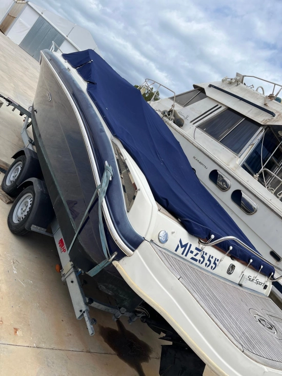 Sea Ray 240 Sse usata in vendita