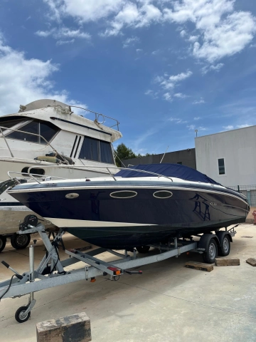 Sea Ray 240 Sse usata in vendita