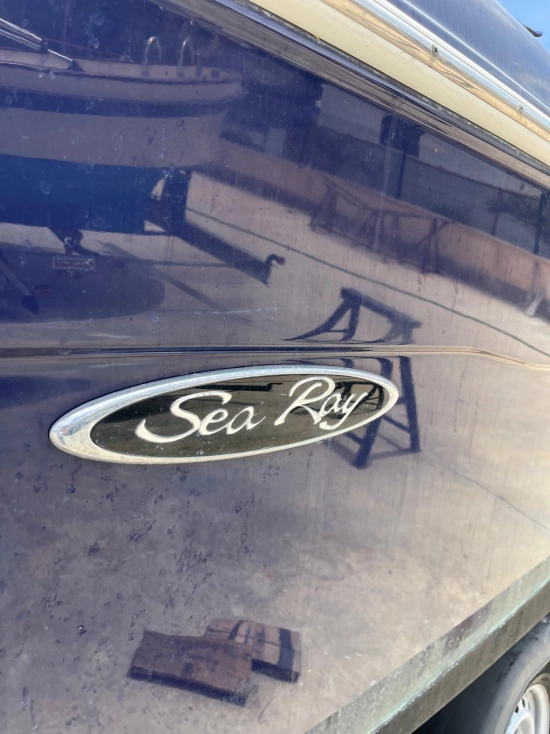 Sea Ray 240 Sse usata in vendita