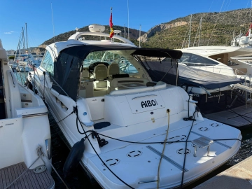 Sea Ray Sundancer 515 usata in vendita