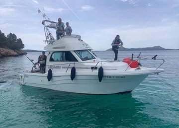 Starfisher 840 Fly usata in vendita