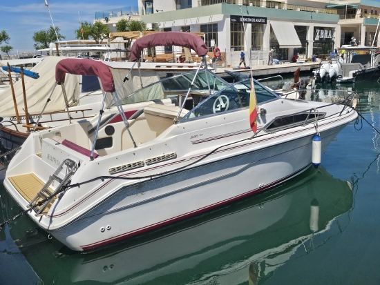 Sea Ray 220 DA usata in vendita