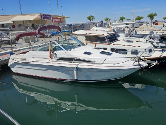 Sea Ray 220 DA usata in vendita