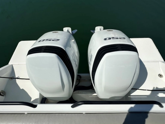 Beneteau Flyer 9 Sundeck usata in vendita