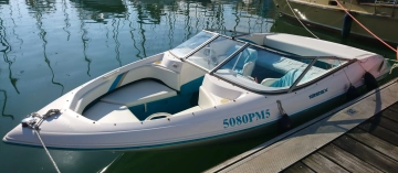 Excel Wellcraft 19SSX usado à venda