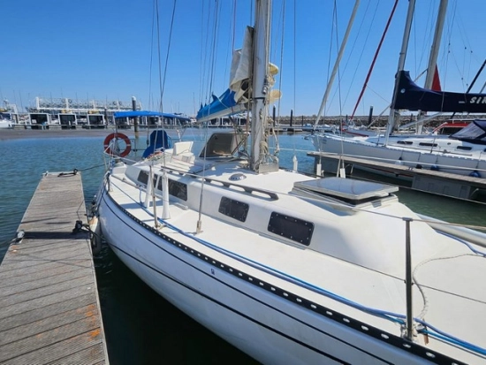 Puma Yachts 34 de segunda mano en venta