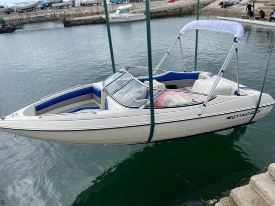 Stingray 556 ZP usado à venda