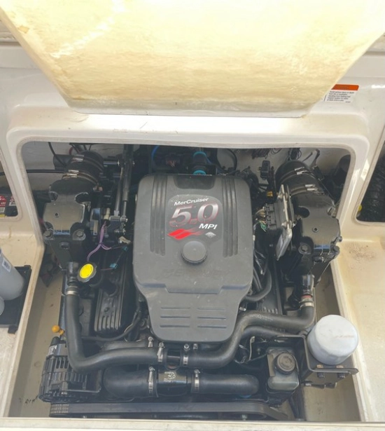 Glastron 219 GS de segunda mano en venta