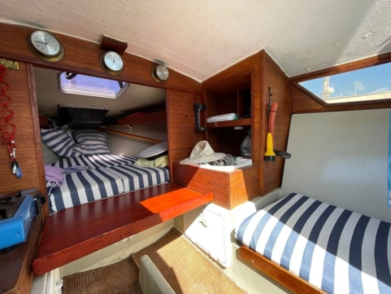 Greyhound Greyhound de segunda mano en venta