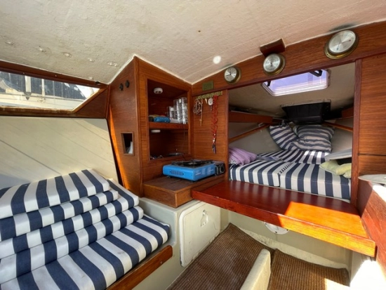 Greyhound Greyhound de segunda mano en venta