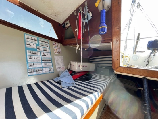 Greyhound Greyhound de segunda mano en venta
