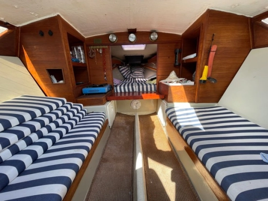 Greyhound Greyhound de segunda mano en venta