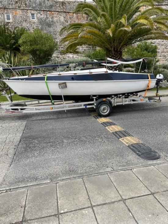 Greyhound Greyhound de segunda mano en venta