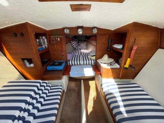 Greyhound Greyhound de segunda mano en venta