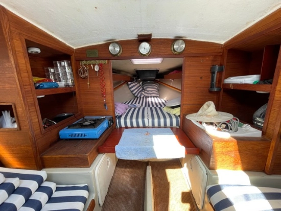 Greyhound Greyhound de segunda mano en venta