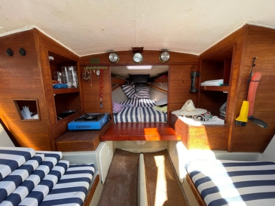 Greyhound Greyhound de segunda mano en venta