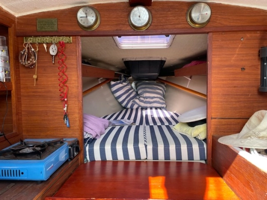 Greyhound Greyhound de segunda mano en venta