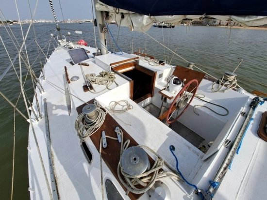Custom boat usata in vendita
