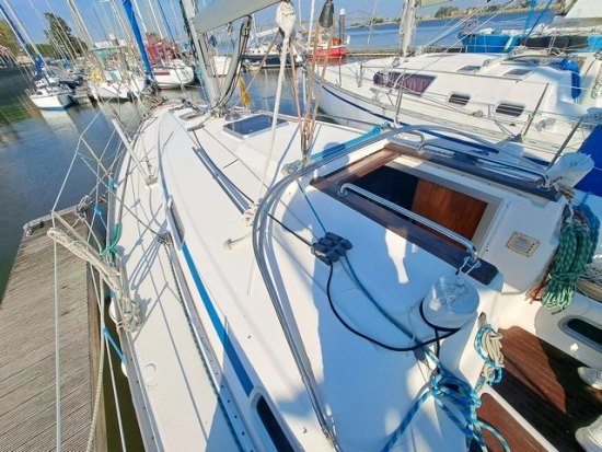 Bavaria Yachts 34 usado à venda