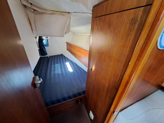 Westerly Regata 310 de segunda mano en venta