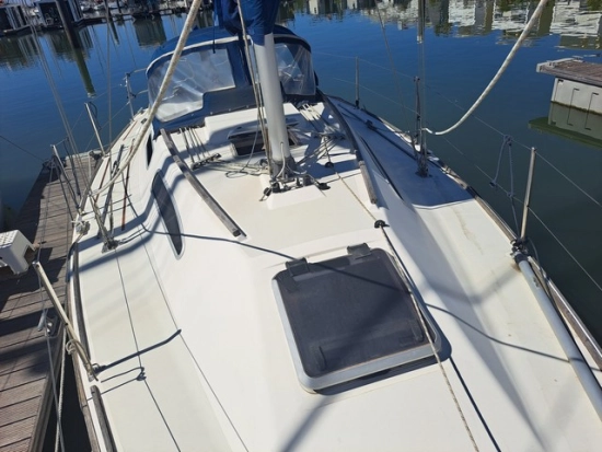 Westerly Regata 310 de segunda mano en venta