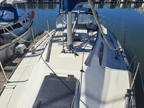 Westerly Regata 310 de segunda mano en venta