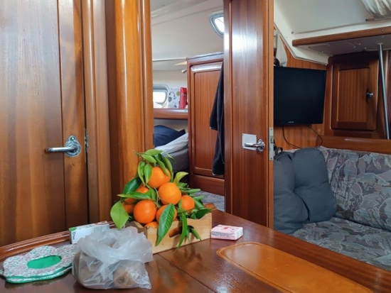 Bavaria Yachts 37 de segunda mano en venta