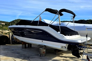 Sea Ray SLX 250 usata in vendita