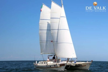Wharram Tiki 38 usado à venda