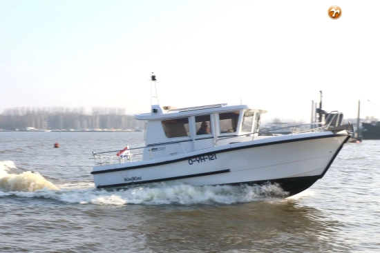 Sargo 25 Explorer usado à venda