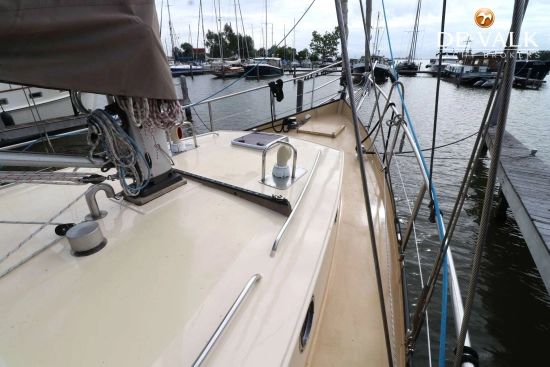 Danish Rose 42 usado à venda