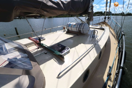Danish Rose 42 usado à venda