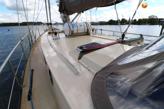 Danish Rose 42 usado à venda