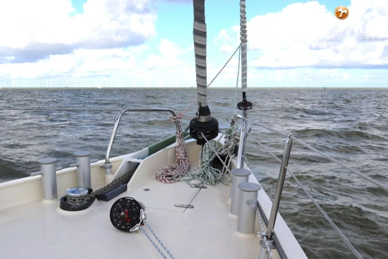 Aluyacht 49 usado à venda