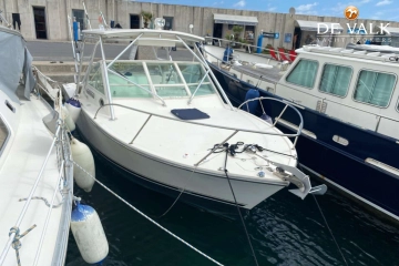 Carolina Classic 28 usata in vendita