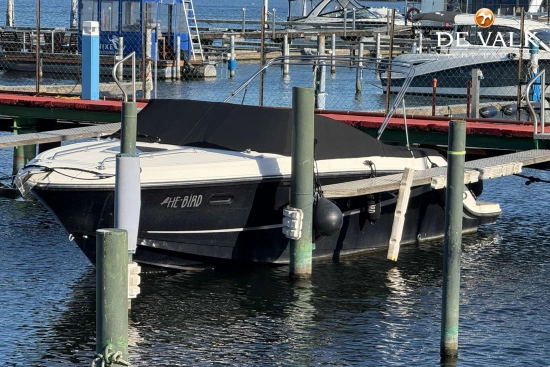 Sea Ray Sun Sport 250 usado à venda