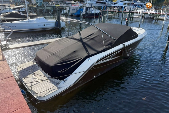 Sea Ray Sun Sport 250 usado à venda